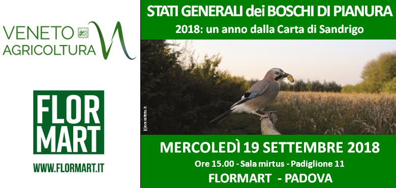 091918 Sandrigo al Flormart cop