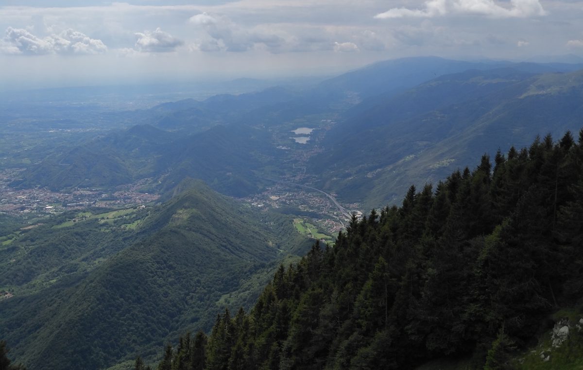 Estate in Cansiglio: GLI IMPERDIBILI EVENTI IN FORESTA