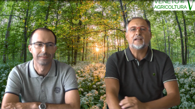 22 Radio Veneto Agricoltura – Dati e Trends del settore florovivaistico