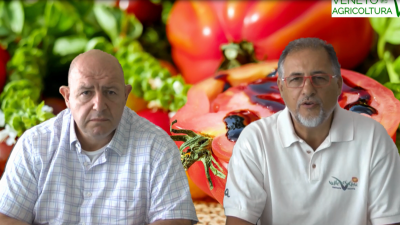 23 Radio Veneto Agricoltura – Ortofrutta in veneto: problematiche e possibili soluzioni