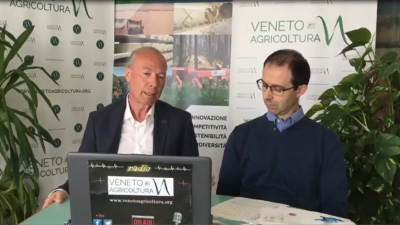 05 Radio Veneto Agricoltura – Riflettori sull’Ortofrutta Veneta