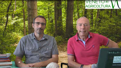 09 Radio Veneto Agricoltura Bosco Nordio