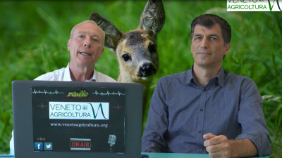 10 Radio Veneto Agricoltura – Fauna Selvatica Nel Veneto
