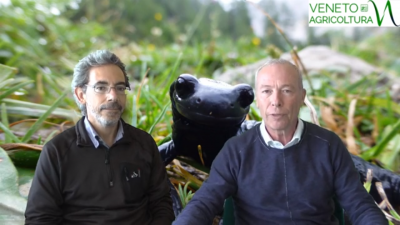 26 Radio Veneto Agricoltura – Specie ombrello, monitoraggi e biodiversità