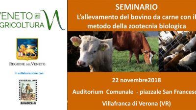 L’allevamento del bovino da carne con il metodo della zootecnia biologica
