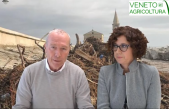 30 Radio Veneto Agricoltura – L’onda lunga del maltempo sulla costa