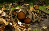 MALTEMPO, BIOMASSA FORESTALE: DAI BOSCHI DEVASTATI ENERGIA E CALORE