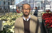 Giornata tecnica ”Poinsettia” (stelle di Natale) – 200 varietà a confronto