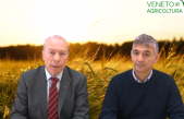 33 Radio Veneto Agricoltura – Agricoltura e assicurazione