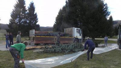 Alberi di Natale al Quirinale. Quest’anno provengono dal Cansiglio e dal Trentino, da zone distrutte dalla tempesta “Vaia”