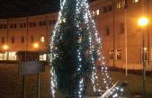 Veneto Agricoltura: ritorneranno i boschi