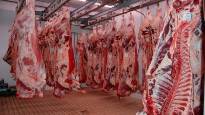 Allevamento e macellazioni di capi bovini, suini e avicoli in Veneto