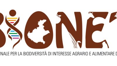 IL PROGETTO BIONET E LA CONSERVAZIONE DELLE RAZZE OVINE DEL VENETO