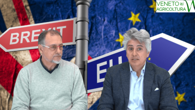 40 Radio Veneto Agricoltura – Dalla cisgenetica alle sfide del mercato