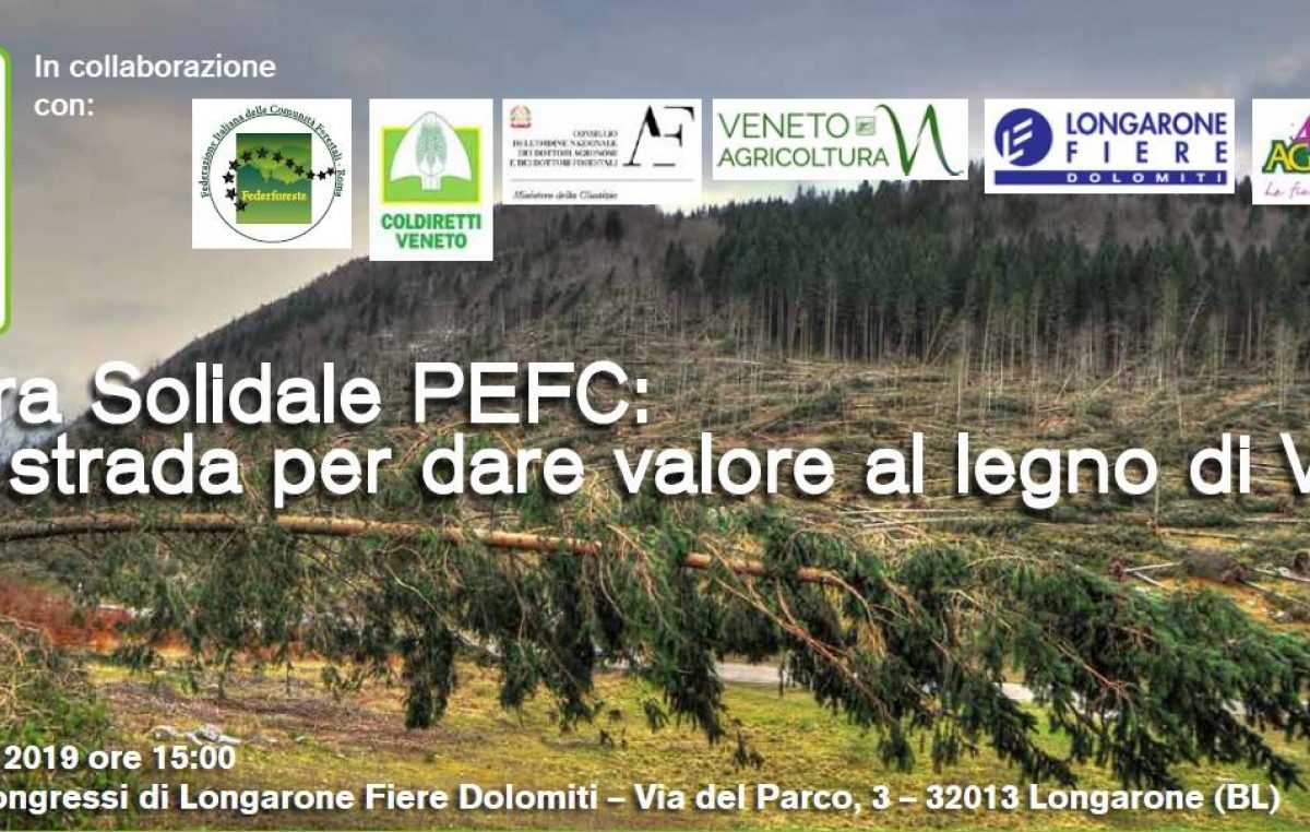 TEMPESTA “VAIA”, CONVEGNO A LONGARONE-BL: UNA STRADA PER DARE VALORE AL LEGNO SCHIANTATO
