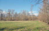 LIFE-PALÙ QUARTIER DEL PIAVE, LANCIO DEL PROGETTO