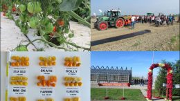 Centro “Po di Tramontana” – Risultati sperimentali 2018 nei settori orticolo e floricolo