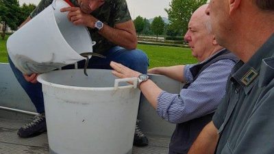 PADOVA, DOMANI SEMINA DI RAGANI