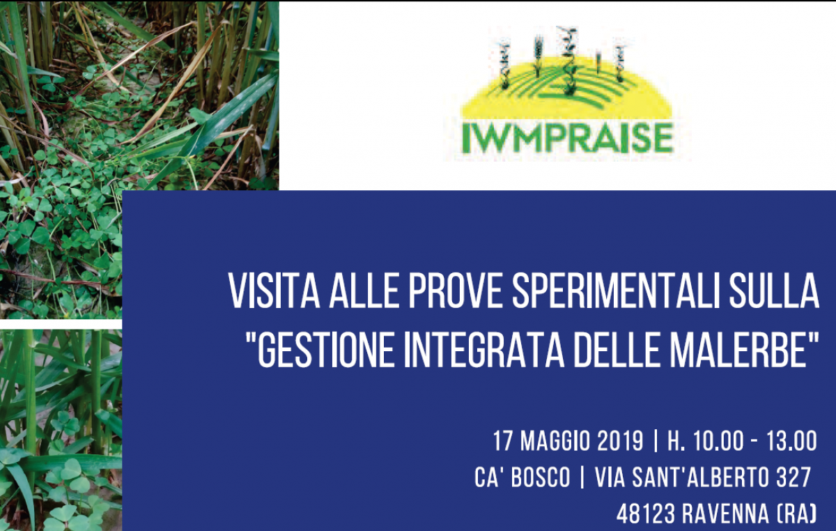 Giornata dimostrativa a Ravenna – 17 maggio 2019
