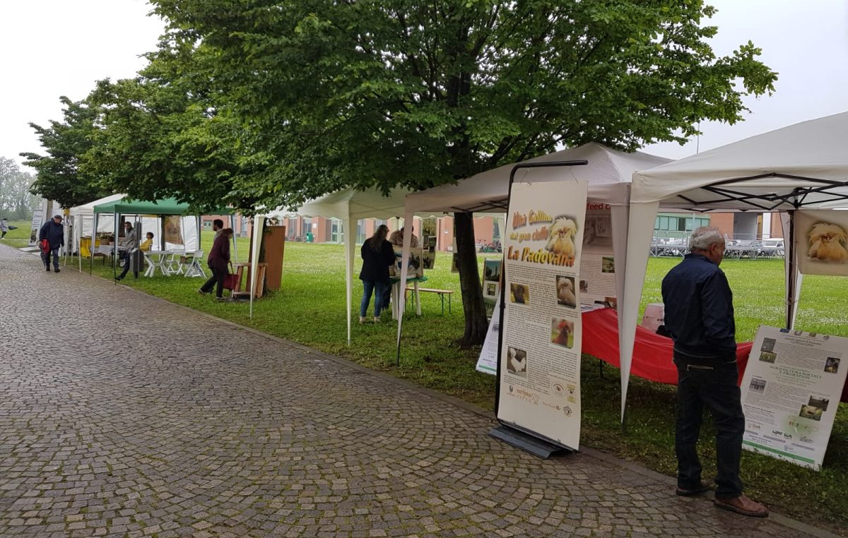 “BIODI:VE”, Giornata Nazionale della Biodiversità Agraria e Alimentare