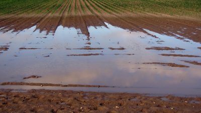 PIOGGIA, PIOGGIA E ANCORA PIOGGIA: AGRICOLTURA KO