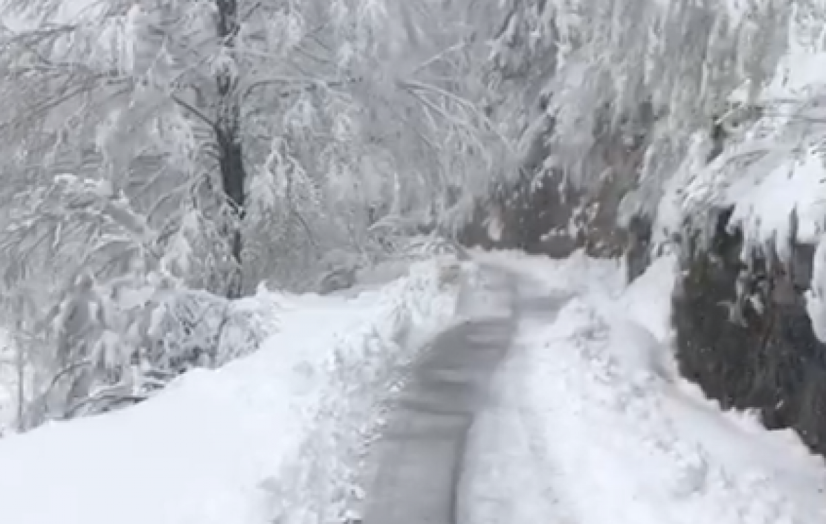 METEO, NEVICATA ECCEZIONALE IN LESSINIA (VR). LA COLLABORAZIONE TRA VENETO AGRICOLTURA E IL COMUNE DI GIAZZA HA LIMITATO AL MINIMO I DISAGI. TERMINATO OGGI IL LAVORO DI SGOMBERO FINO AL RIFUGIO REVOLTO.