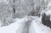METEO, NEVICATA ECCEZIONALE IN LESSINIA (VR). LA COLLABORAZIONE TRA VENETO AGRICOLTURA E IL COMUNE DI GIAZZA HA LIMITATO AL MINIMO I DISAGI. TERMINATO OGGI IL LAVORO DI SGOMBERO FINO AL RIFUGIO REVOLTO.