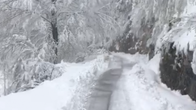 METEO, NEVICATA ECCEZIONALE IN LESSINIA (VR). LA COLLABORAZIONE TRA VENETO AGRICOLTURA E IL COMUNE DI GIAZZA HA LIMITATO AL MINIMO I DISAGI. TERMINATO OGGI IL LAVORO DI SGOMBERO FINO AL RIFUGIO REVOLTO.