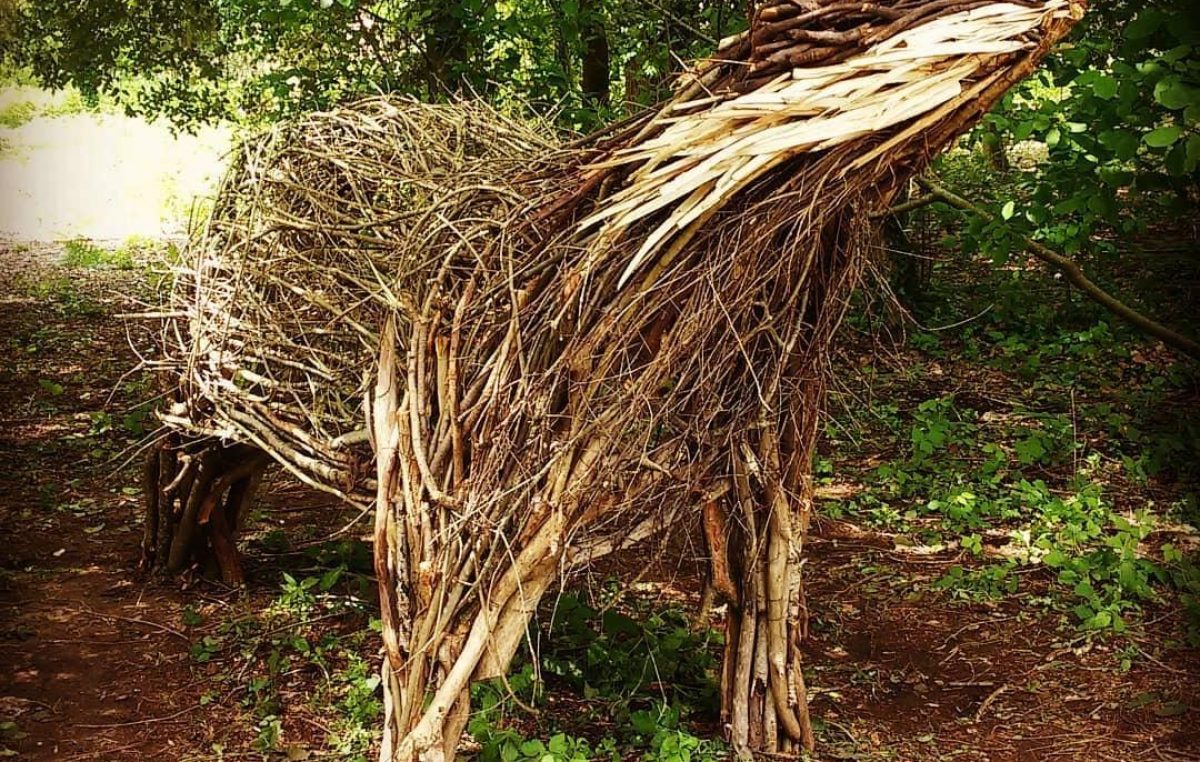 ARTE E NATURA A BRACCETTO A BOSCO NORDIO DI CHIOGGIA