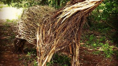 ARTE E NATURA A BRACCETTO A BOSCO NORDIO DI CHIOGGIA