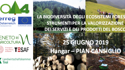 LA BIODIVERSITÀ DEGLI ECOSISTEMI FORESTALI
