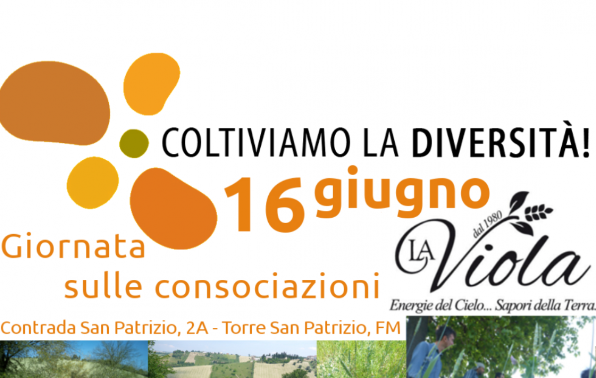 Giornata dimostrativa all’Azienda Agricola La Viola di Torre San Patrizio (FM)