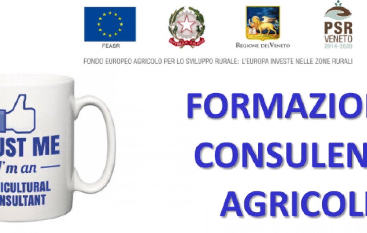 DAL MARKETING ALL’AMBIENTE: UNA SERIE DI CORSI PER IMPRESE INNOVATIVE E CONSULENTI QUALIFICATI