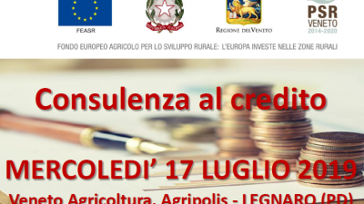 Consulenza al credito (cod. 2A-28-19)