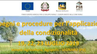 Impegni e procedure per l’applicazione della condizionalità – 2a edizione (cod.P4-04-19)