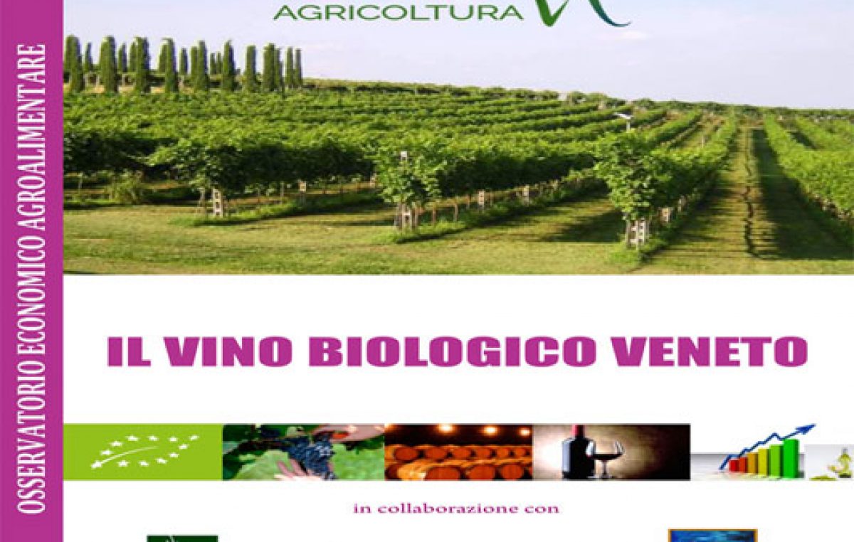 Il vino biologico veneto