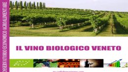 Il vino biologico veneto