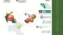 Frutti dimenticati e biodiversità recuperata. Il germoplasma frutticolo e viticolo delle agricolture tradizionali italiane. Casi studio: Campania e Veneto