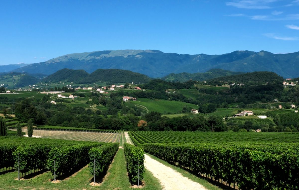 LE STRADE DEL VINO E DEI PRODOTTI TIPICI IN VENETO