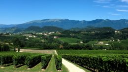 LE STRADE DEL VINO E DEI PRODOTTI TIPICI IN VENETO