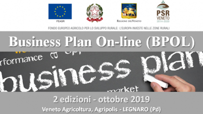 Business Plan On-line (BPOL)