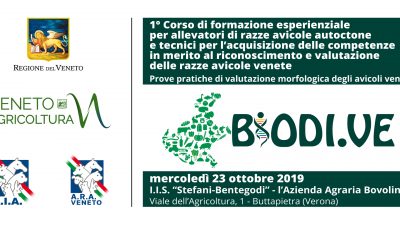 Prove pratiche di valutazione morfologica degli avicoli veneti