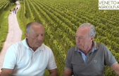 66 Radio Veneto Agricoltura – Le Strade del Vino e dei Prodotti Tipici