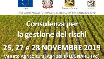 Consulenza per la gestione dei rischi