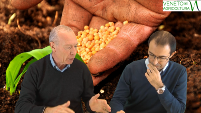 73 Radio Veneto Agricoltura – Prezzi e Mercati