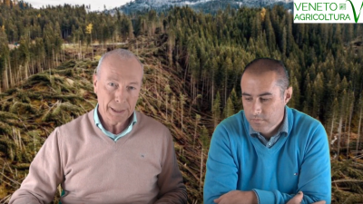 72 Radio Veneto Agricoltura – Dentro la foresta colpita da Vaia