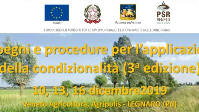 Impegni e procedure per l’applicazione della condizionalità (3a edizione) – cod.P4-05-19