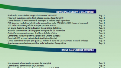 VENETO AGRICOLTURA EUROPA N. 13/2019