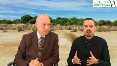 77 RADIO VENETO AGRICOLTURA – L’IMPORTANZA DELLE DUNE SABBIOSE LITORANEE