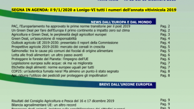 VENETO AGRICOLTURA EUROPA N. 15/2019